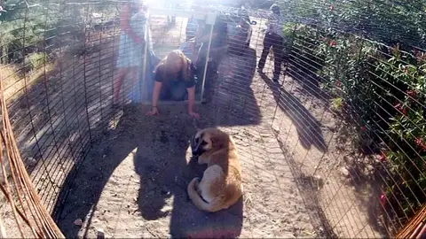 Rescatamos un perro abandonado Rescatamos un perro abandonado