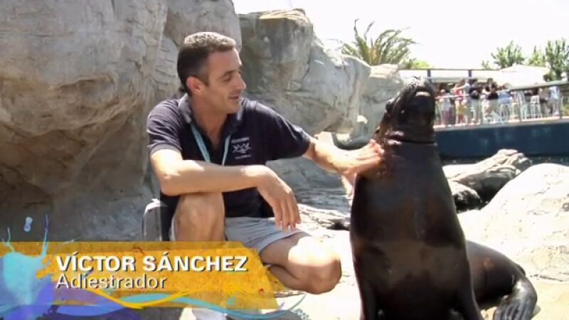 Nuevos ayudantes en Salvamento Marino