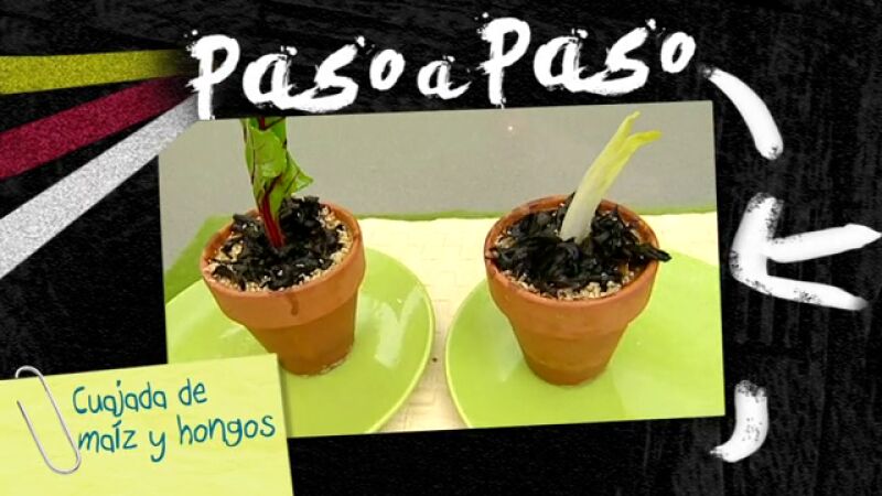 Paso a paso: Cuajada de maíz y hongos