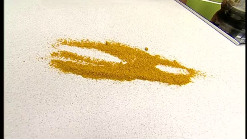 Pescadilla al vapor con puré de zanahorias al curry (Parte 2)