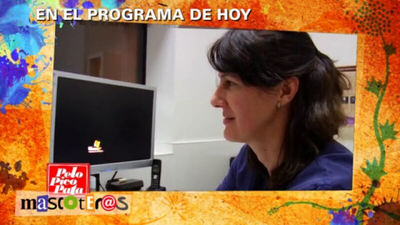 NOVA estrena la cuarta temporada de PELOPICOPATA, Edición MASCOTEROS