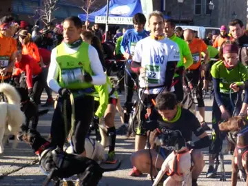 Desafío Shepard Desafío Shepard