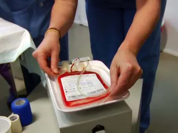 Mascotas donantes Mascotas donantes