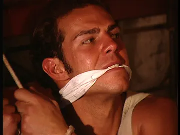 gavilán secuestrado gavilán secuestrado