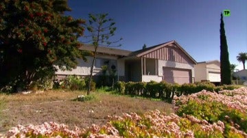 NOVA TV | PROGRAMAS NOVA TV - Cocina, Telenovelas, Belleza , Moda