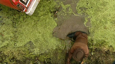 Juan cae en arenas movedizas