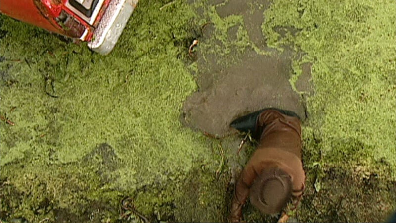 Juan cae en arenas movedizas