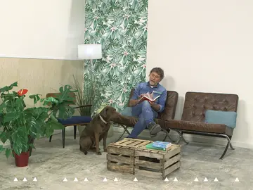 Tutorial papel pintado Tutorial papel pintado