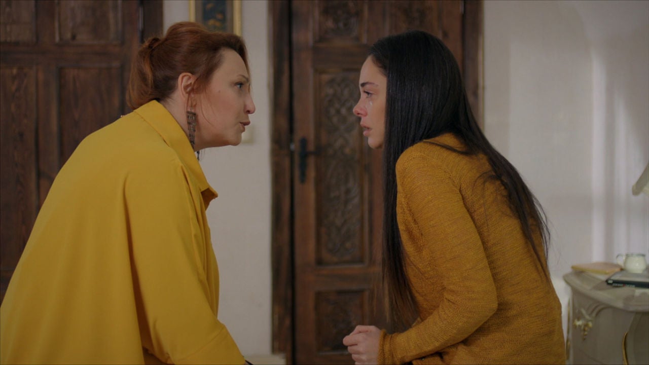 Cuando Termina Elif En Nova 2020