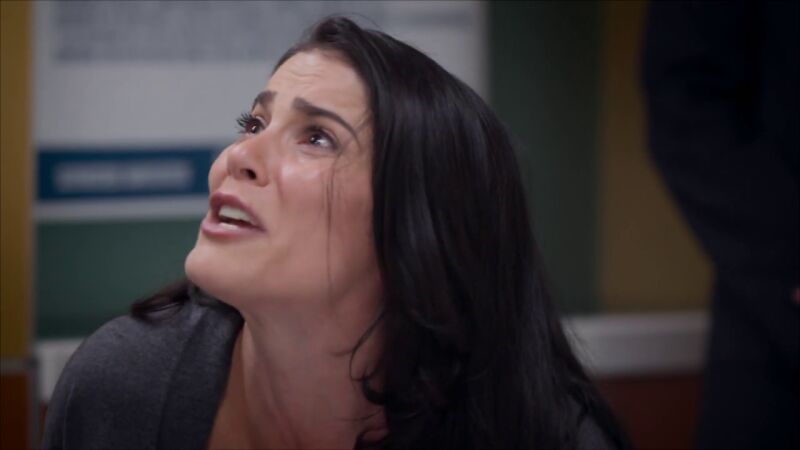 Elena y Pedro detenidos por secuestrar a Nico