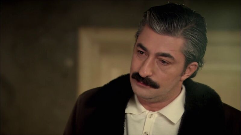 Ali desenmascara a Hikmet: 