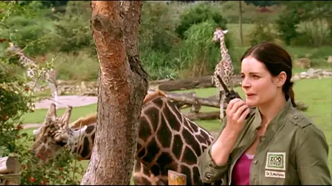 La explosión controlada de un edificio altera a todos los animales del zoo La explosión controlada de un edificio altera a todos los animales del zoo