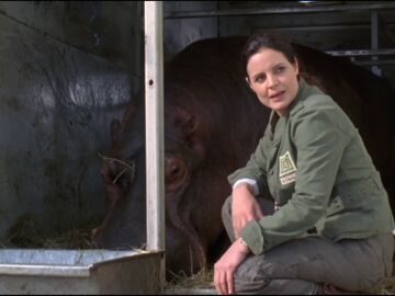 Susanne tiene que atender una urgencia de un hipopótamo
