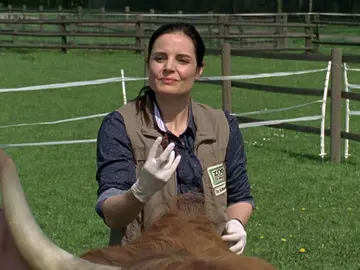 Muere el ternero de Matilda y detectan la enfermedad de la lengua azul en el zoo Muere el ternero de Matilda y detectan la enfermedad de la lengua azul en el zoo