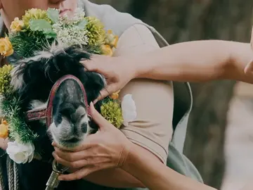 Harry, la nueva mascota del zoo Harry, la nueva mascota del zoo