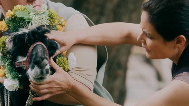 Harry, la nueva mascota del zoo