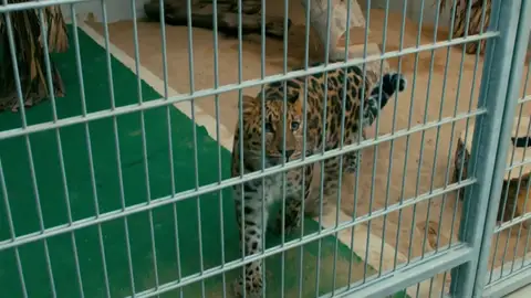 Una mudanza y un parto Una mudanza y un parto