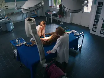 La doctora Susanne fija una dislocación del pequeño felino del zoo La doctora Susanne fija una dislocación del pequeño felino del zoo