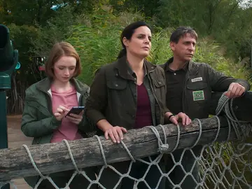 Henry, la nueva cebra del zoo, con un gran problema intestinal Henry, la nueva cebra del zoo, con un gran problema intestinal