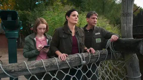 Henry, la nueva cebra del zoo, con un gran problema intestinal Henry, la nueva cebra del zoo, con un gran problema intestinal