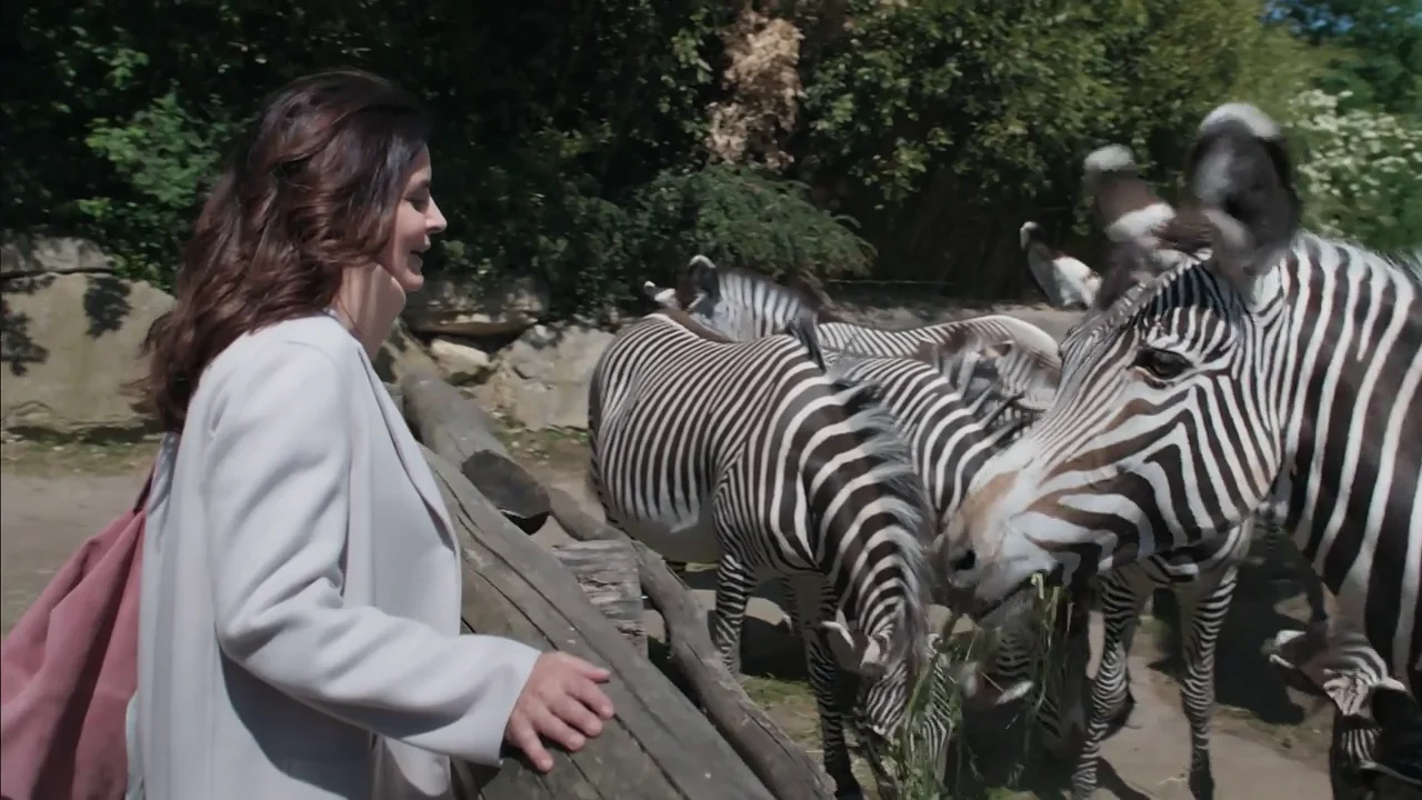Henry se recupera poco a poco de su trastorno alimenticio y Susanne conoce a la nueva veterinaria del zoo