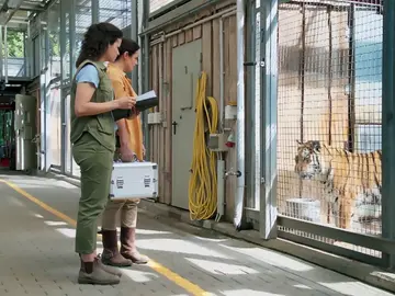 Juno, el cachorro recién llegado enfermo y sin prestar atención a las llamadas de sus cuidadores Juno, el cachorro recién llegado enfermo y sin prestar atención a las llamadas de sus cuidadores