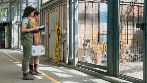 Juno, el cachorro recién llegado enfermo y sin prestar atención a las llamadas de sus cuidadores Juno, el cachorro recién llegado enfermo y sin prestar atención a las llamadas de sus cuidadores