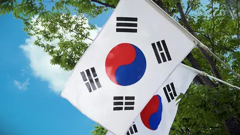bandera de Corea del Sur Saimdang