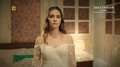 Jaula Dorada Jaula Dorada