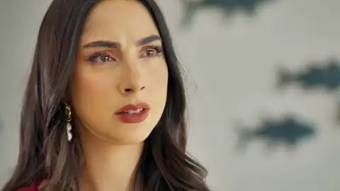 Rebeca descubre que Miguel está enamorado de Sofía Rebeca descubre que Miguel está enamorado de Sofía