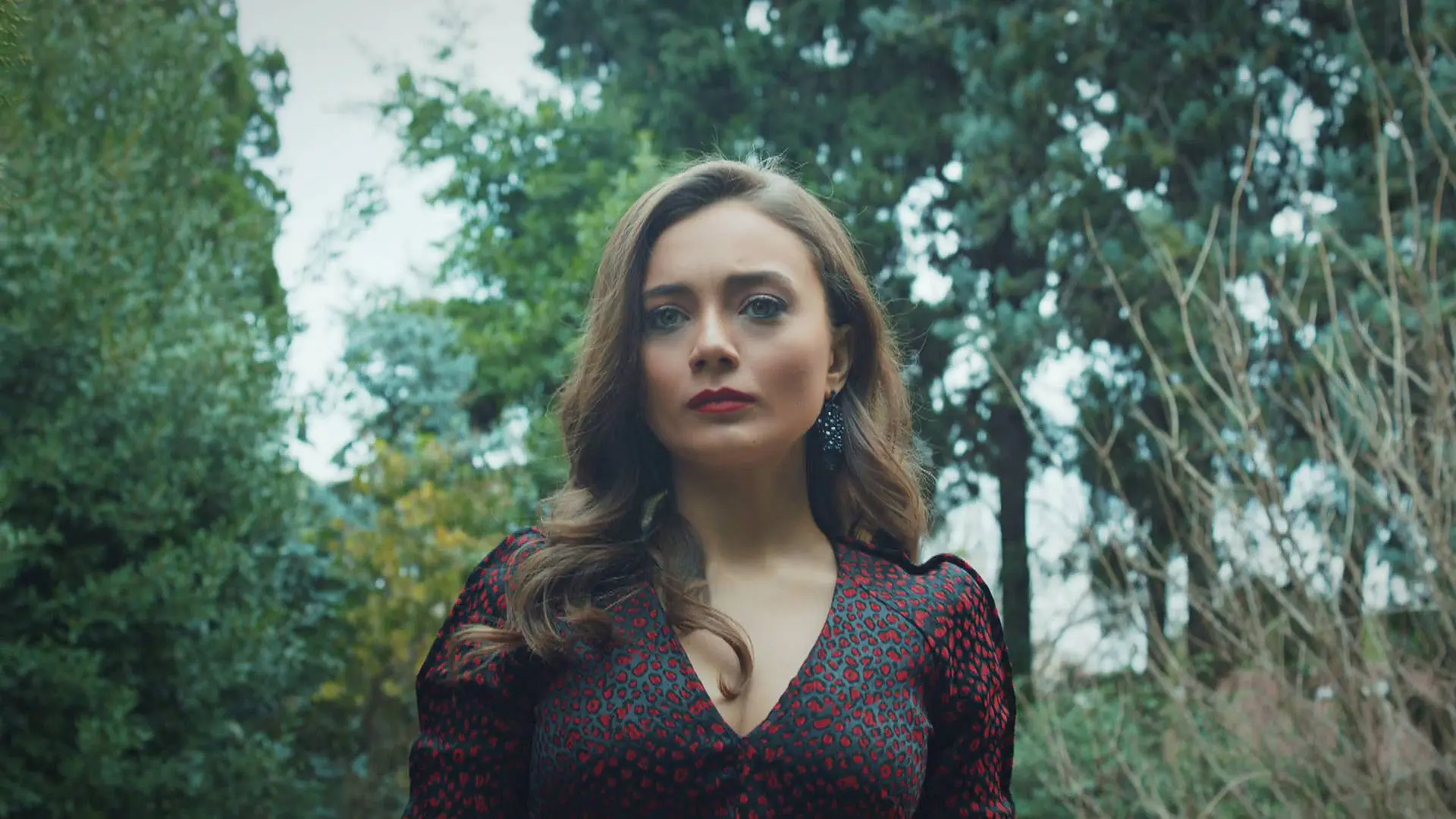 Gülru Guerra de rosas